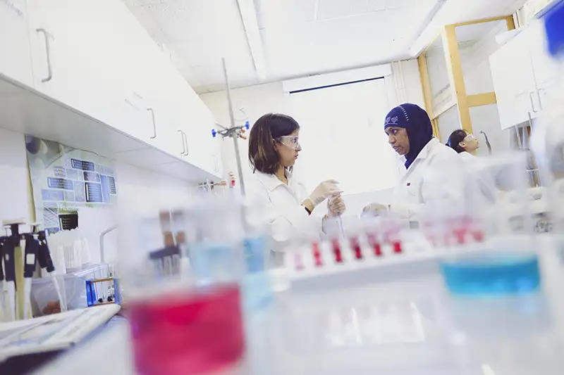 官宣国王牛津科学学院